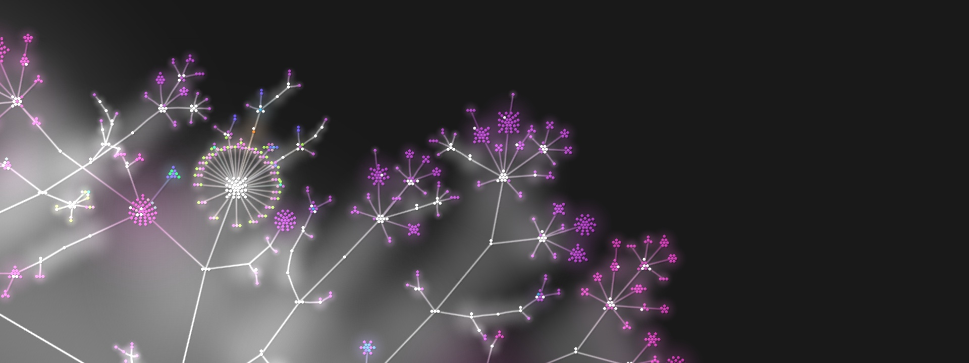 Knowledge Tree Diagram